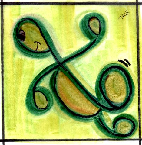 Theresa's Cute Turtle!